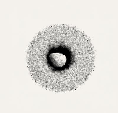 Liposomal Technology Is a Tool, Not an Identity