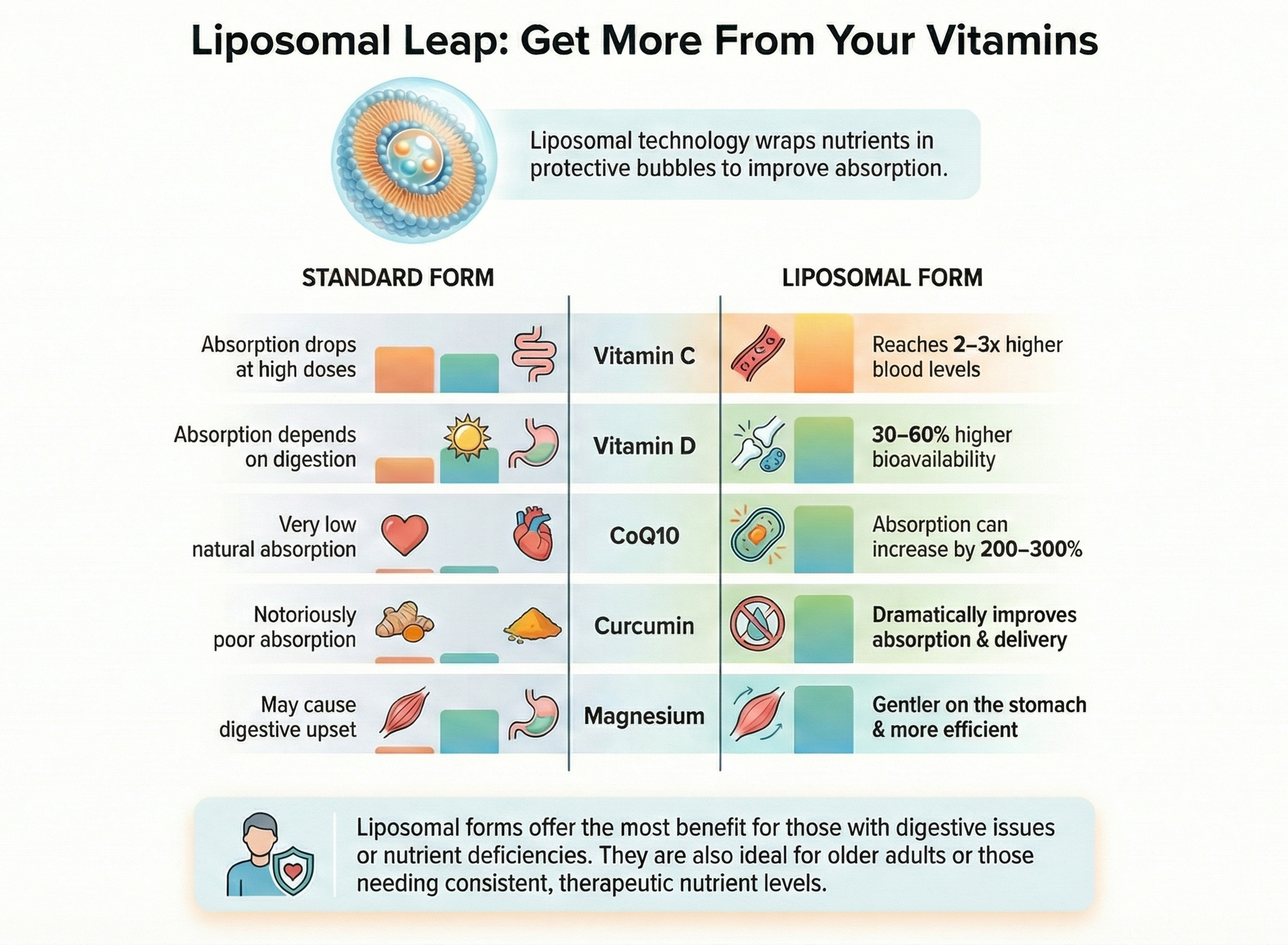 Which Vitamins Work Best In Liposomal Form And Why They Matter
